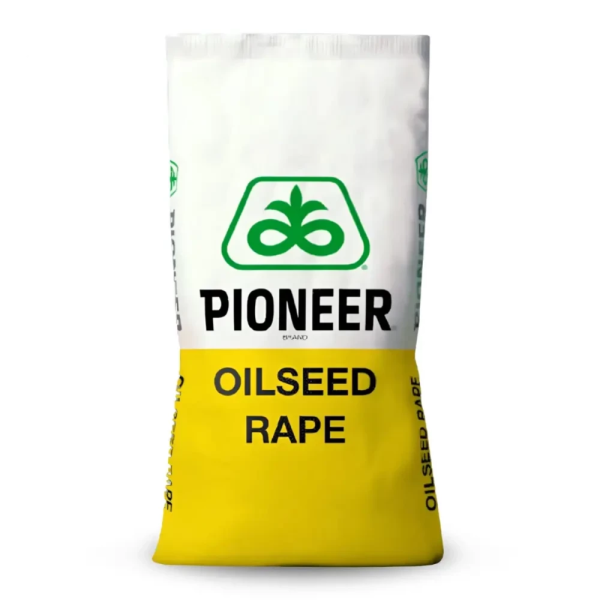 Озимий ріпак PT315 - фото