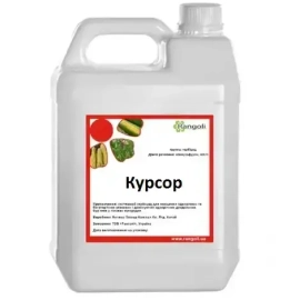 Фото - Фунгіцид Курсор