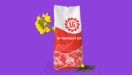 Фото - Ріпак озимий ЛГ Консалт КЛ