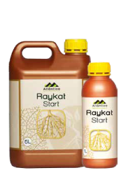 Фото - Стимулятор росту Райкат старт