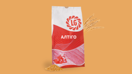 Фото - Пшениця Алтіго