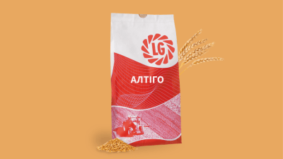 Пшениця Алтіго - фото