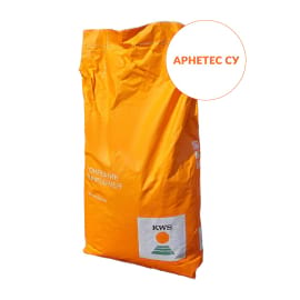 Фото - Соняшник Арнетес СУ
