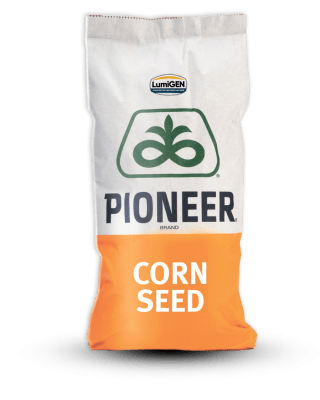 Кукурудза Pioneer P9718E - фото