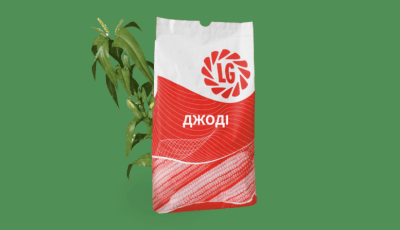 Кукурудза на силос ФАО - 380 Джоді - фото