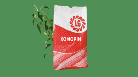 Фото - Кукурудза на силос ФАО - 310 Хонорін
