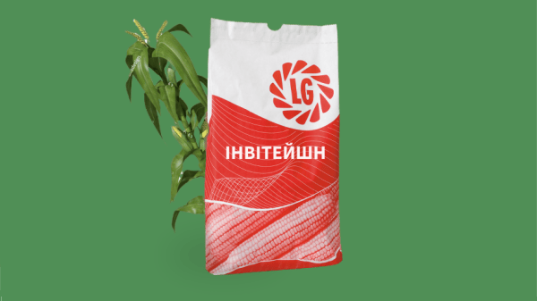 Кукурудза на силос ФАО - 390 Інвітейшн - фото