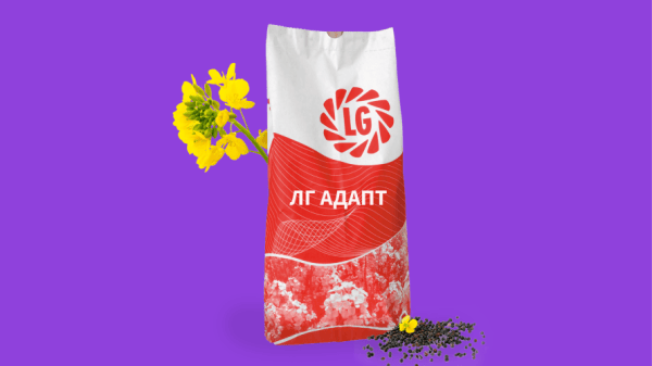 Ріпак озимий ЛГ Адапт - фото