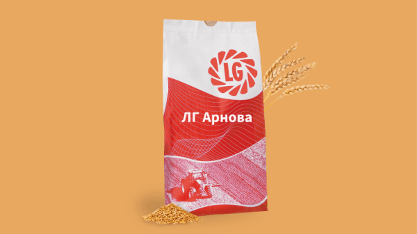Пшениця ЛГ Арнова - фото
