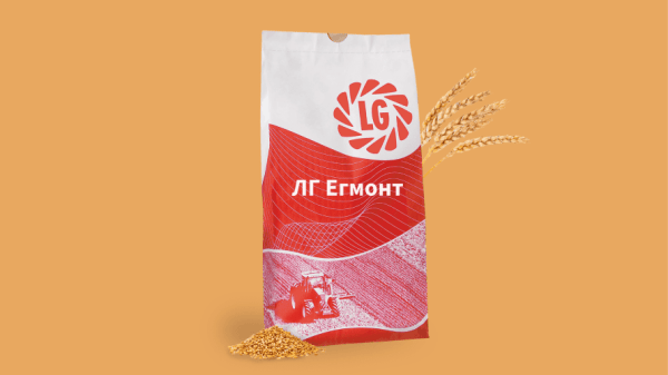 Пшениця ЛГ Егмонт - фото