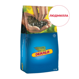 Фото - Насіння соняшника Людмилла
