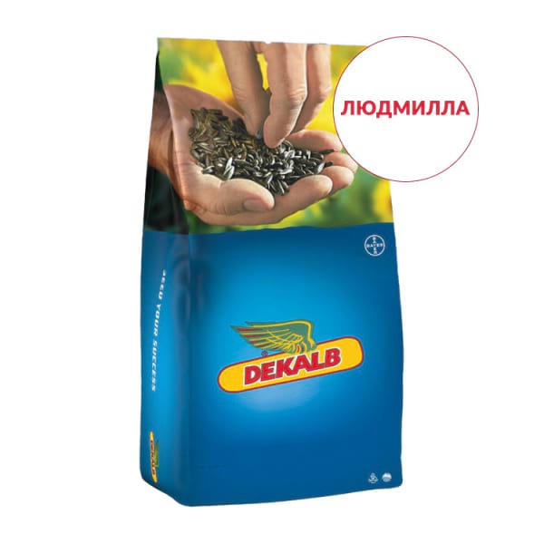 Насіння соняшника Людмилла - фото
