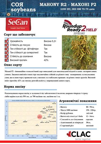 Соя Махоні - Р2 / Mahony - R2 (Перша репродукція) - фото №2