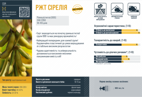 Соя РЖТ Сірелія (Перша репродукція) - фото №2