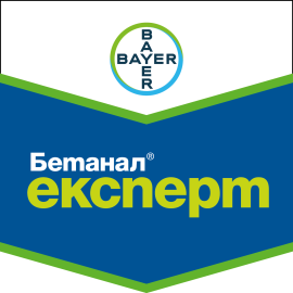 Фото - Гербіцид Бетанал Експерт