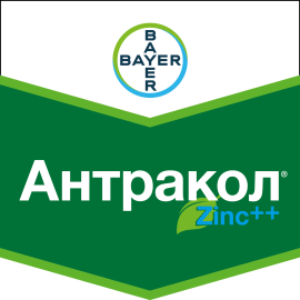 Фото - Фунгіцид Антракол