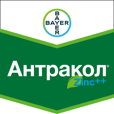 Фунгіцид Антракол - фото