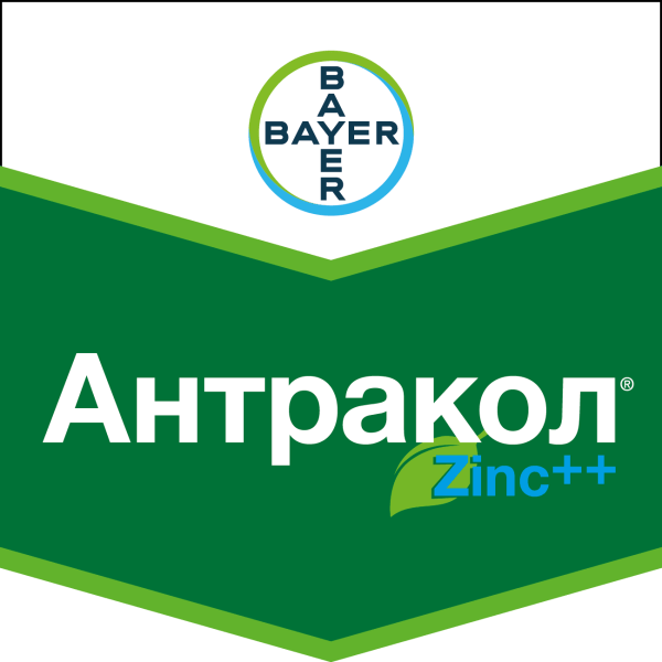 Фунгіцид Антракол - фото