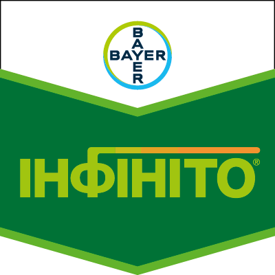 Фунгіцид Інфініто - фото