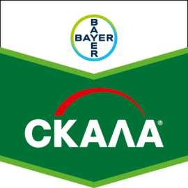 Фото - Фунгіцид Скала