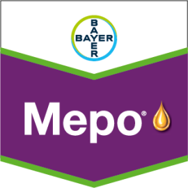 Фото - Прилипач Меро
