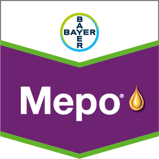 Прилипач Меро - фото