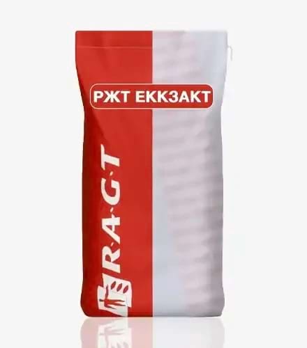 Кукурудза РЖТ Еккзакт - фото