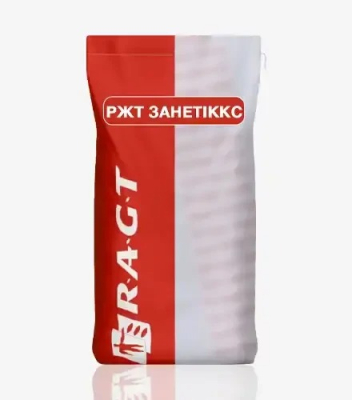 Кукурудза РЖТ Занетіккс - фото