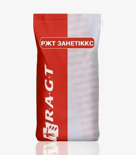 Кукурудза РЖТ Занетіккс - фото