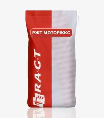 Кукурудза РЖТ Моторіккс - фото