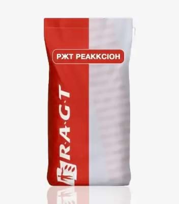 Кукурудза РЖТ Реакксіон - фото