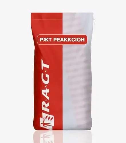 Кукурудза РЖТ Реакксіон - фото