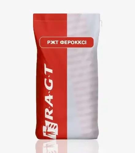 Кукурудза РЖТ Ферокксі - фото
