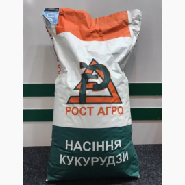 Фото - Гібрид кукурудзи НОКС