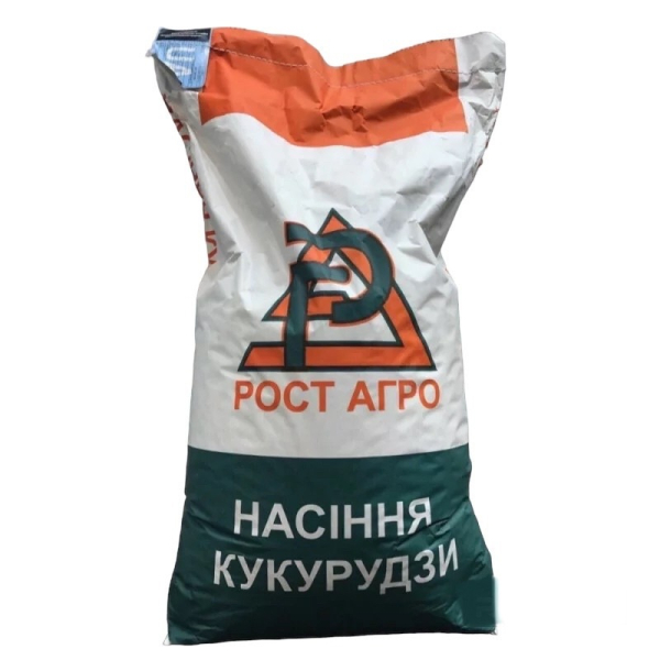 Гібрид кукурудзи ДН Аджамка - фото
