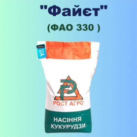 Фото - Гібрид кукурудзи ФАЙЕТ