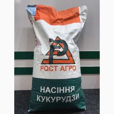 Гібрид кукурудзи СІДНІ - фото