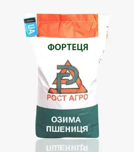 Пшениця "Фортеця" (перша репродукція) - фото