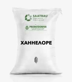 Фото - Ячмінь "Ханнелоре" (Saatbau; перша репродукція)