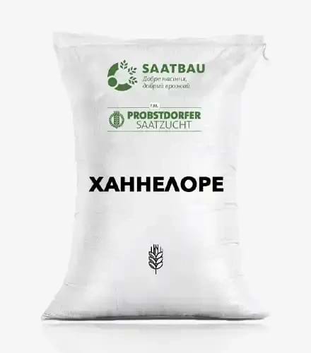 Ячмінь "Ханнелоре" (Saatbau; перша репродукція) - фото