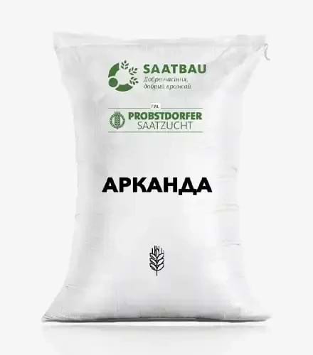 Ячмінь "Арканда" (Saatbau; перша репродукція) - фото
