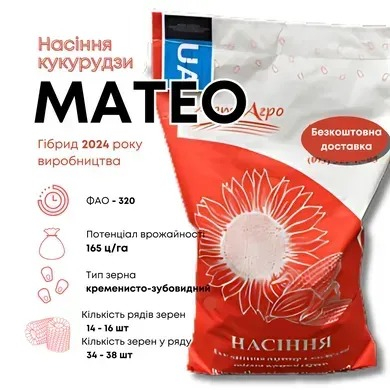 Насіння кукурудзи Матео - фото