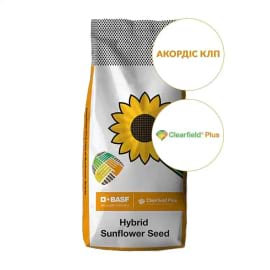 Фото - Насіння соняшнику АКОРДІС КЛП