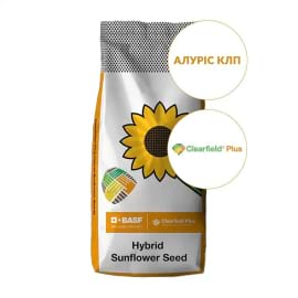 Фото - Насіння соняшнику АЛУРІС КЛП