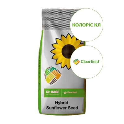 Насіння соняшнику КОЛОРІС КЛ - фото