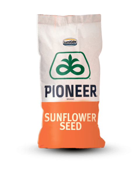 Соняшник Pioneer PR64F66 - фото